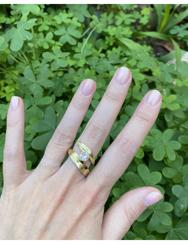Anillo Unión