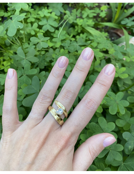 Anillo Unión
